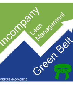 Green Belt Lean Management Incompany