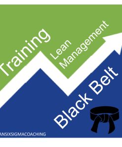 Black Belt Lean Management Training
