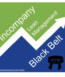 Black Belt Lean Management Incompany