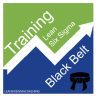 Black Belt Lean Six Sigma Training