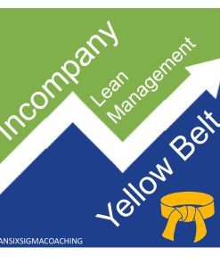Yellow Belt Lean Management Incompany