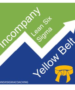 Yellow Belt Lean Six Sigma Incompany