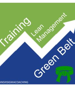 Green Belt Lean Management Training